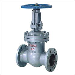 Z41H手動(dòng)法蘭閘閥