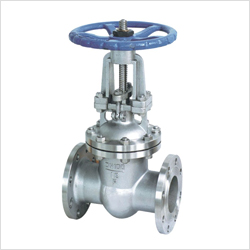 Z41W���P��l�y�DƬ